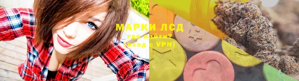 mdpv Вяземский