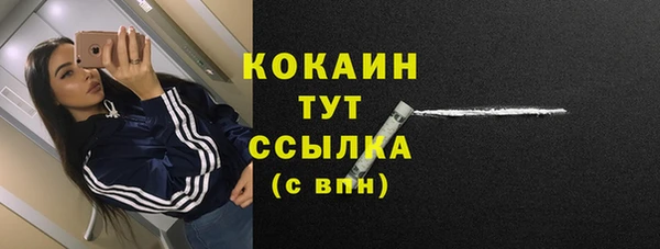 крисы Горно-Алтайск