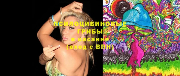 крисы Горно-Алтайск