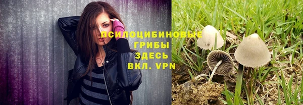 mdpv Горнозаводск