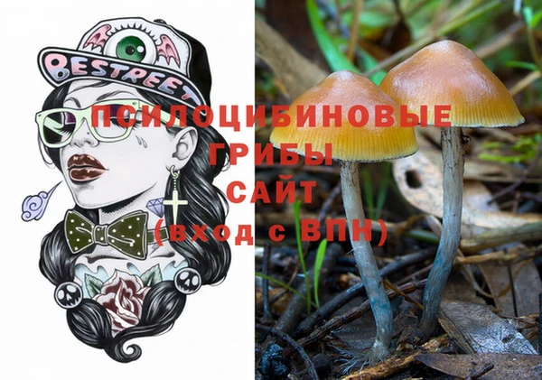 a pvp Горняк