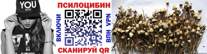 купить   Камышин  МЕГА ссылки  Псилоцибиновые грибы мухоморы 