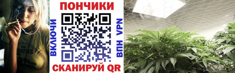 OMG рабочий сайт  Камышин  Бошки марихуана планчик  наркотики 